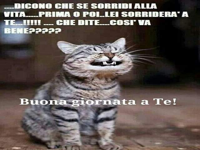 ...Dicono che se sorridi alla vita...prima o poi...lei sorriderà a te...!!!...che dite...così va bene??? Buona giornata a te!