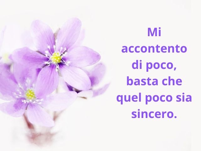 Mi accontento di poco, basta che quel poco sia sincero.