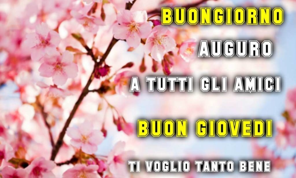 Buongiorno. Auguro a tutti gli amici buon Giovedì. Ti voglio tanto bene.