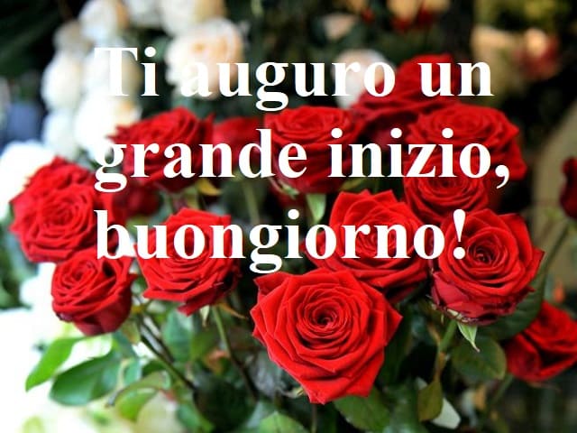 Ti auguro un grande inizio, buongiorno!