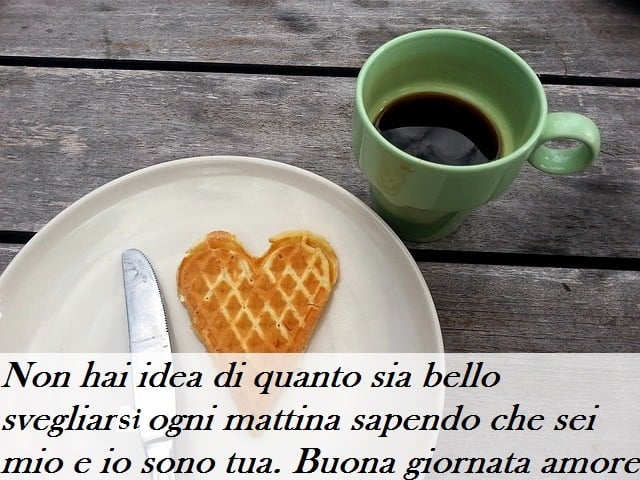 Non hai idea di quanto sia bello svegliarsi ogni mattina sapendo che sei mio e io sono tua. Buona giornata amore mio.