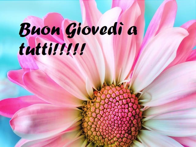 Buon Giovedì a tutti!!!