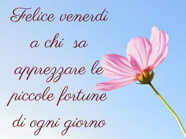 Felice venerdì a chi sa apprezzare le piccole fortune di ogni giorno.