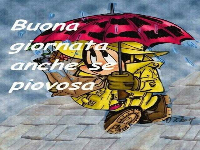 Buona giornata anche se piovosa.