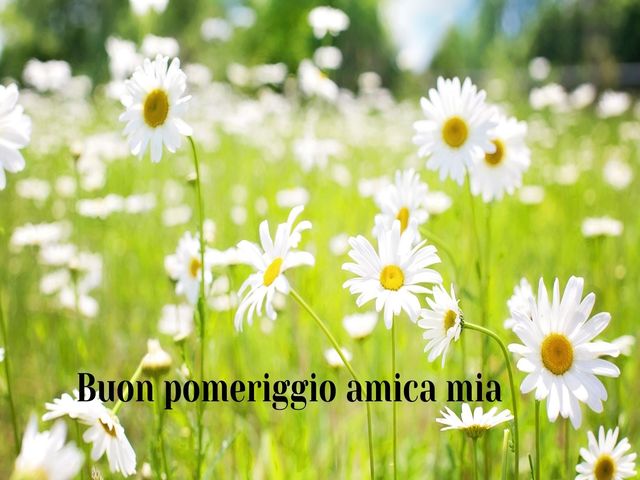 Buon pomeriggio amica mia.