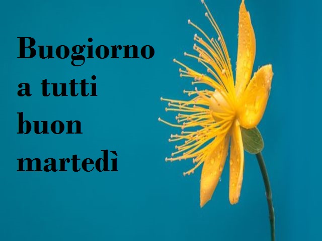 Buongiorno a tutti e buon martedì