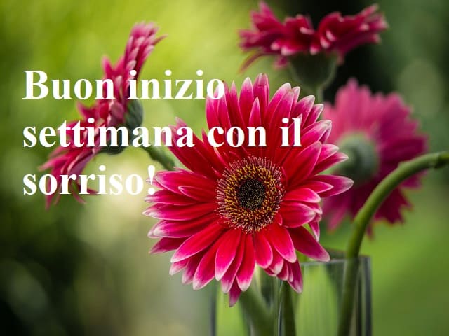 Buon inizio settimana con il sorriso!