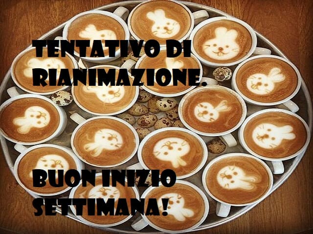 Tentativo di rianimazione. Buon inizio settimana!