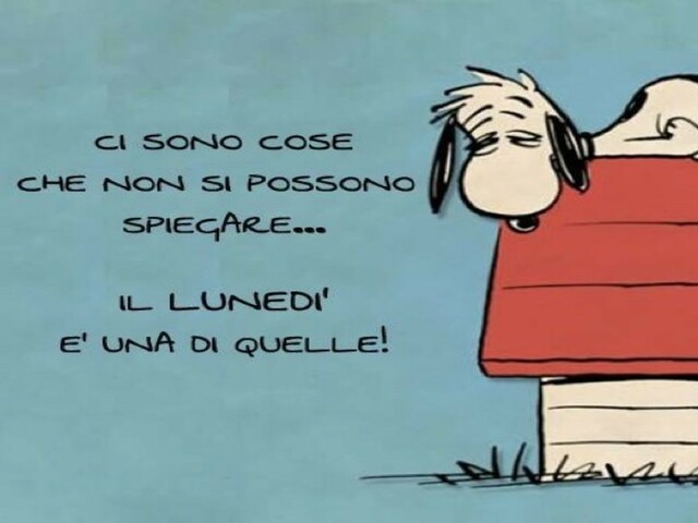 Ci sono cose che non si possono spiegare...Il lunedì è una di quelle!