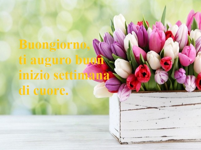 Buongiorno, ti auguro buon inizio settimana di cuore.