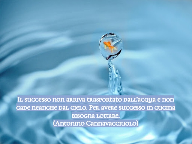 Il successo non arriva trasportato dall’acqua e non cade neanche dal cielo. Per avere successo in cucina bisogna lottare.(Antonino Cannavacciuolo)