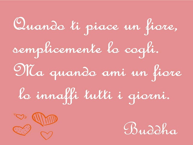 Quando ti piace un fiore semplicemente lo cogli. Ma quando ami un fiore lo innaffi tutti i giorni. Buddha