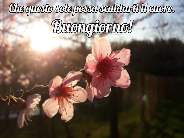 Che questo sole possa scaldarti il cuore. Buongiorno!