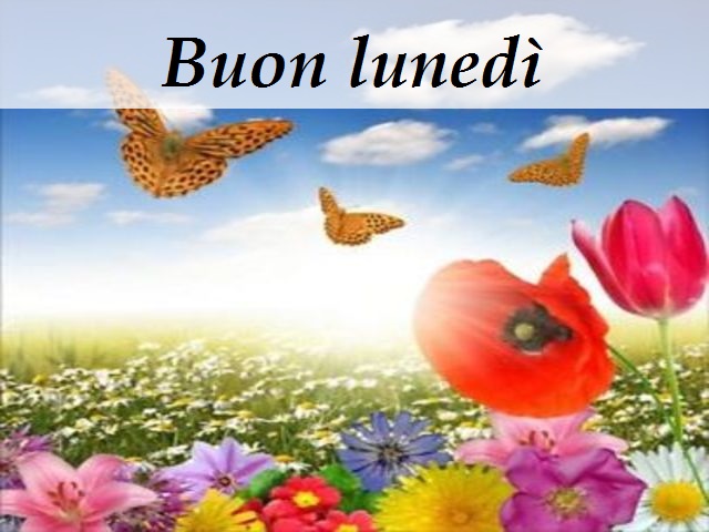 Buon lunedì