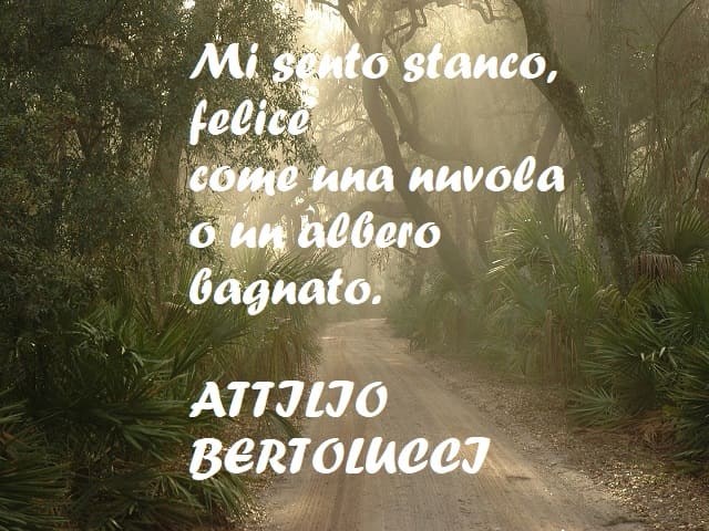 Mi sento stanco, felice come una nuvola o un albero bagnato. (Attilio Bertolucci)