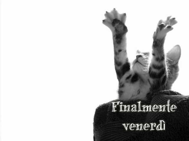Finalmente venerdì!