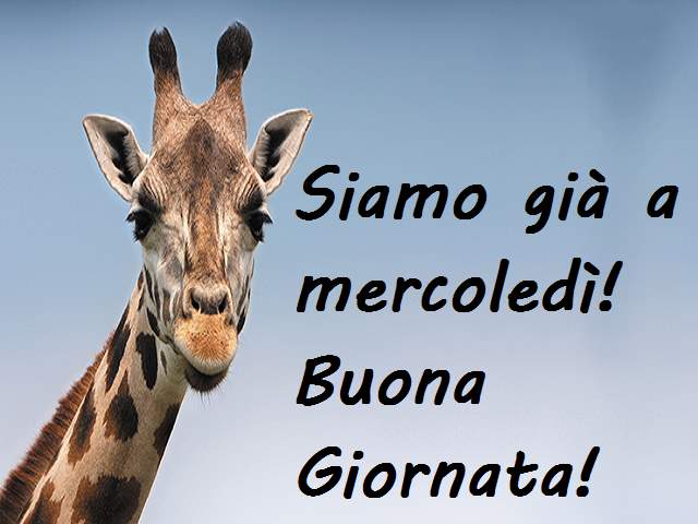 Siamo già a mercoledì! Buona giornata!