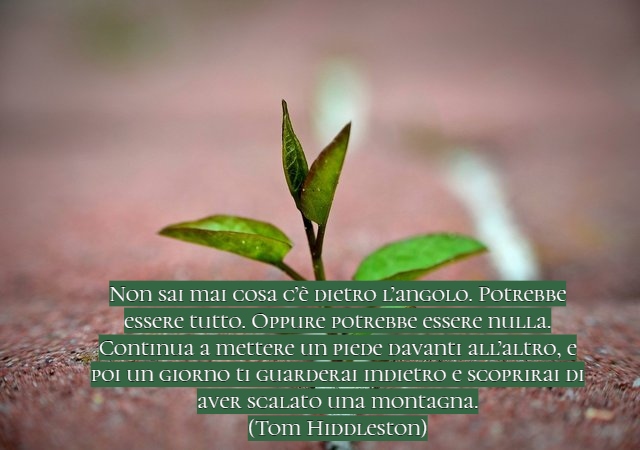 Non sai mai cosa c’è dietro l’angolo. Potrebbe essere tutto. Oppure potrebbe essere nulla. Continua a mettere un piede davanti all’altro, e poi un giorno ti guarderai indietro e scoprirai di aver scalato una montagna.(Tom Hiddleston)