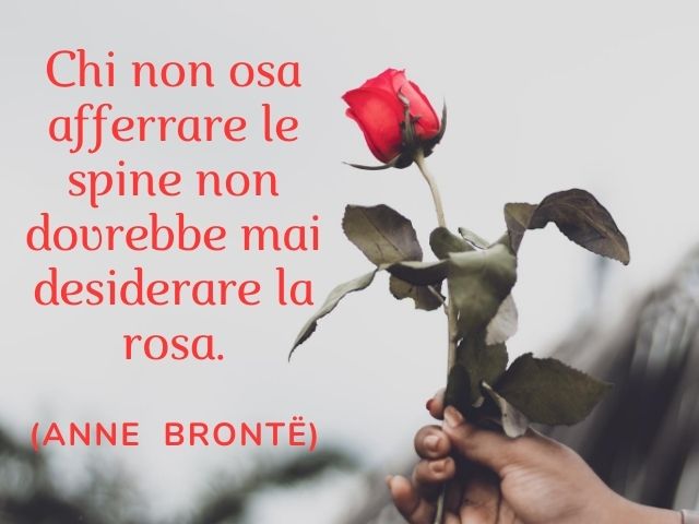 Chi non osa afferrare le spine non dovrebbe mai desiderare la rosa.(Anne Brontë)