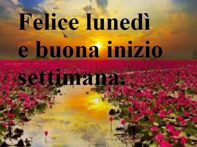 Felice lunedì e buona inizio settimana.