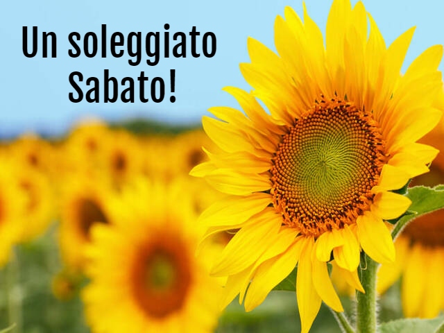 Un soleggiato Sabato!