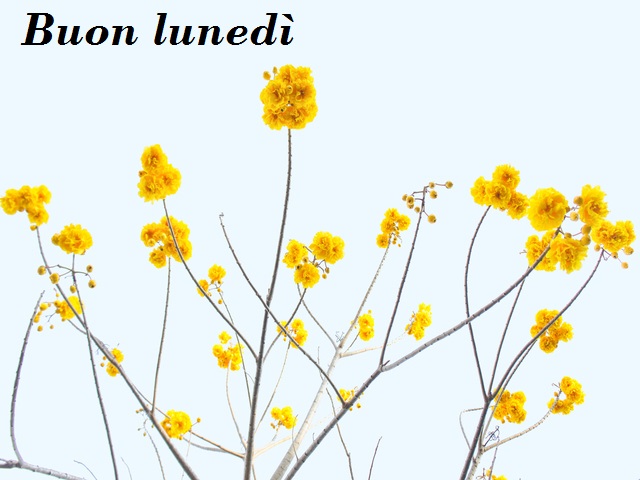Buon lunedì
