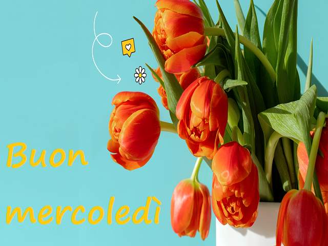 Buon mercoledì