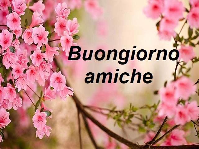 Buongiorno amiche.