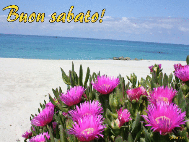 Buon sabato!