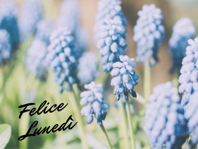 Felice lunedì