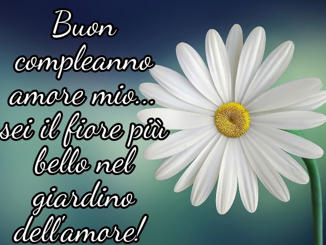 Buon compleanno amore mio... sei il fiore più bello nel giardino dell'amore!