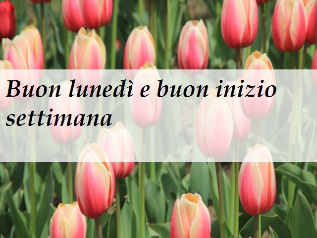 Buon lunedì e buon inizio settimana