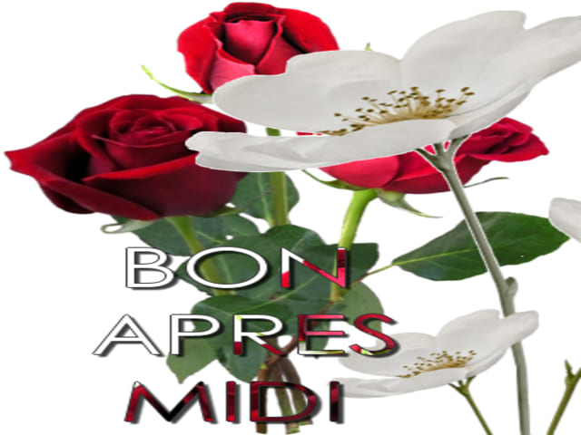 Bon après midi.
