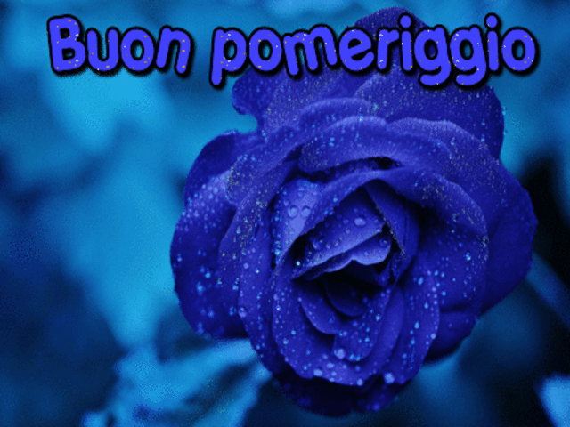 Buon pomeriggio.