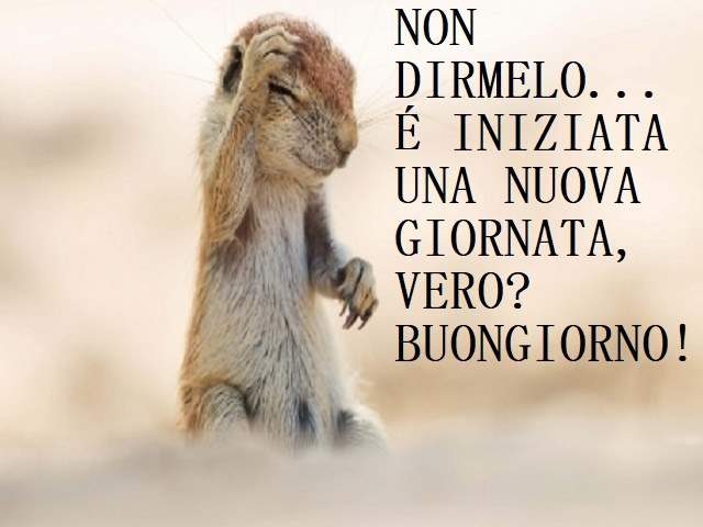 Non dirmelo...è iniziata una nuova giornata, vero? Buongiorno!