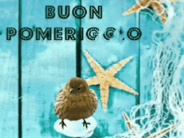 Buon pomeriggio.