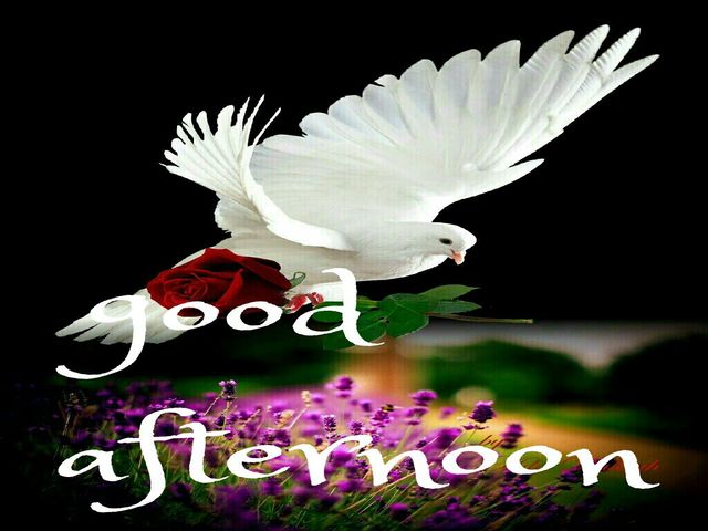 Good afternoon.