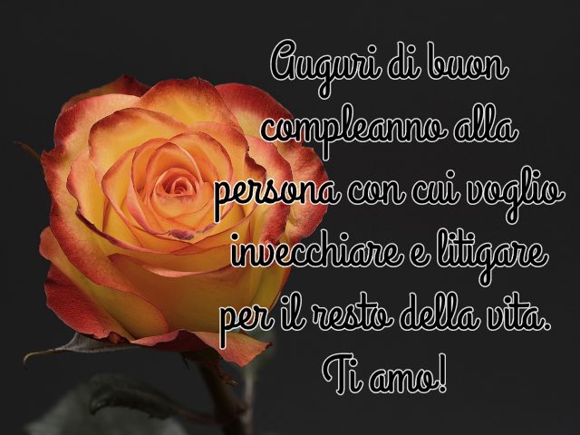Auguri di buon compleanno alla persona con cui voglio invecchiare e litigare per il resto della vita. Ti amo!