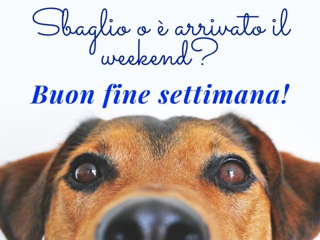 Sbaglio o è arrivato il weekend? Buon fine settimana!