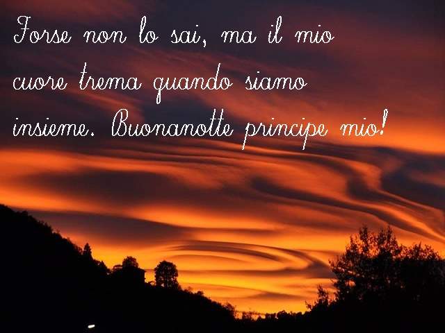 Forse non lo sai, ma il mio cuore trema quando siamo insieme. Buonanotte principe mio!