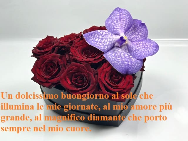 Un dolcissimo buongiorno al sole che illumina le mie giornate, al mio amore più grande, al magnifico diamante che porto sempre nel mio cuore.