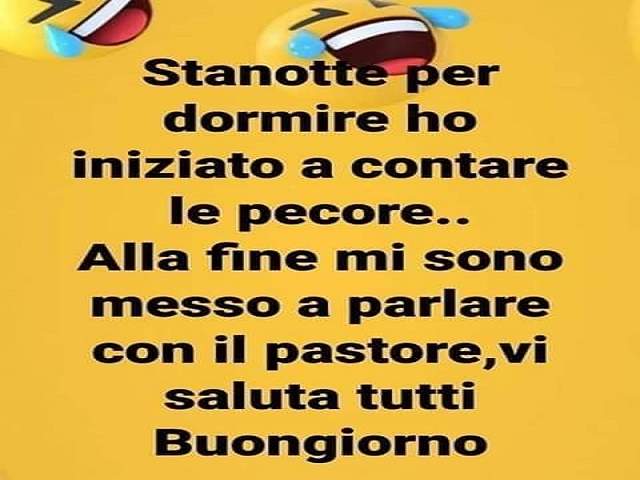 Stanotte per dormire ho iniziato a contare le pecore...Alla fine mi sono messo a parlare con il pastore, vi saluta tutti! Buongiorno.