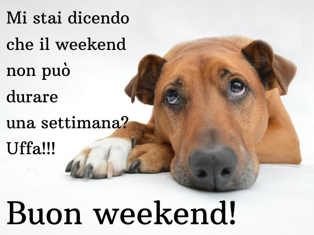 Mi stai dicendo che il weekend non può durare una settimana? Uffa!!!Buon weekend!