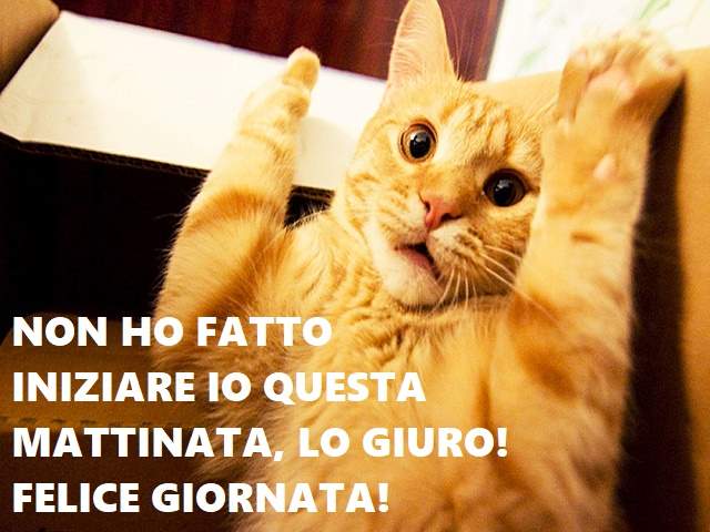 Non ho fatto iniziare io questa mattinata, lo giuro! Felice giornata!