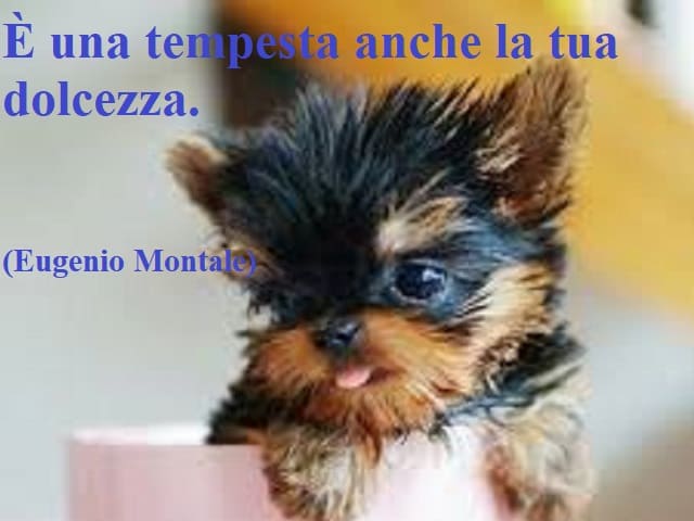 È una tempesta anche la tua dolcezza.(Eugenio Montale)