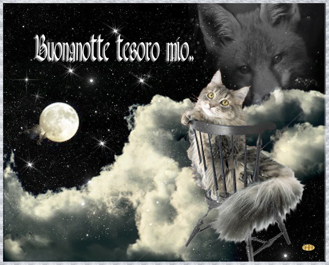 Buonanotte tesoro mio.