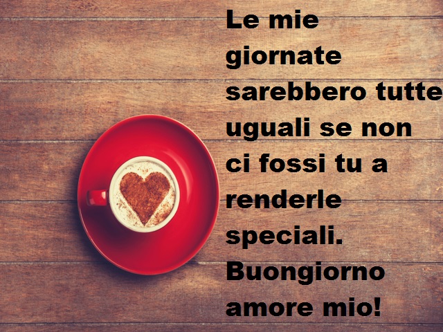 Le mie giornate sarebbero tutte uguali se non ci fossi tu a renderle speciali. Buongiorno amore mio!