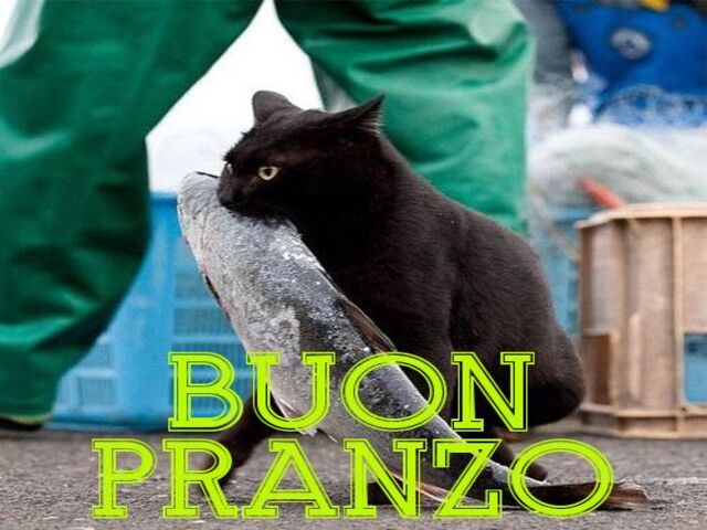 Buon pranzo.