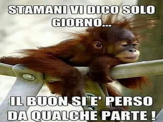 Stamattina vi dico solo giorno...il buon si è perso da qualche parte!