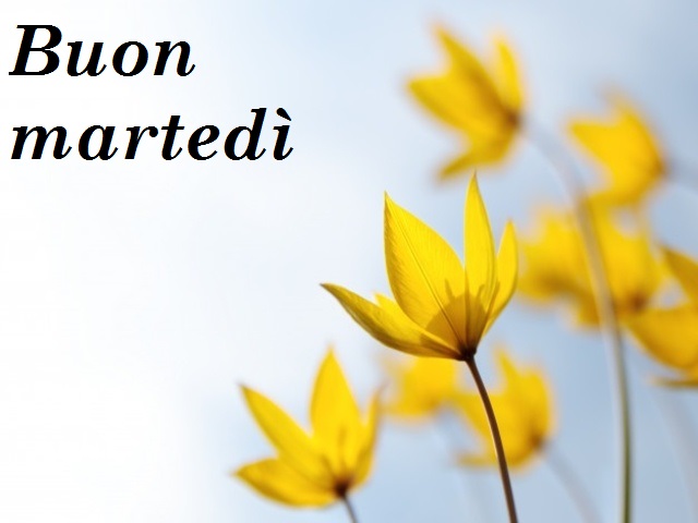 Buon martedì